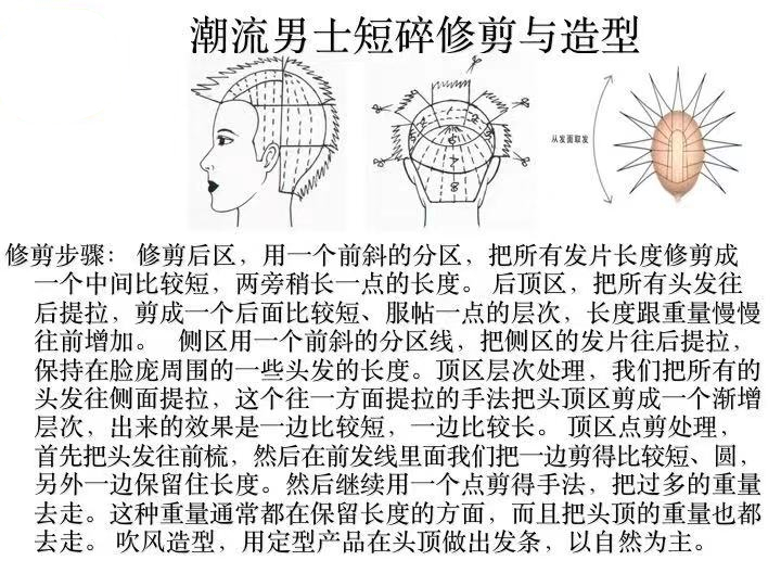 男士发型修剪理论图解