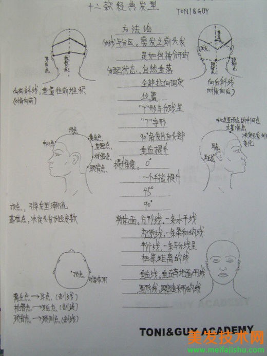 61.jpg