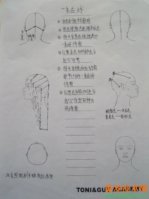 62.jpg