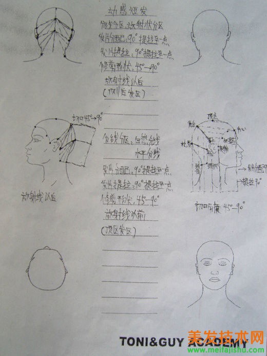 73.jpg