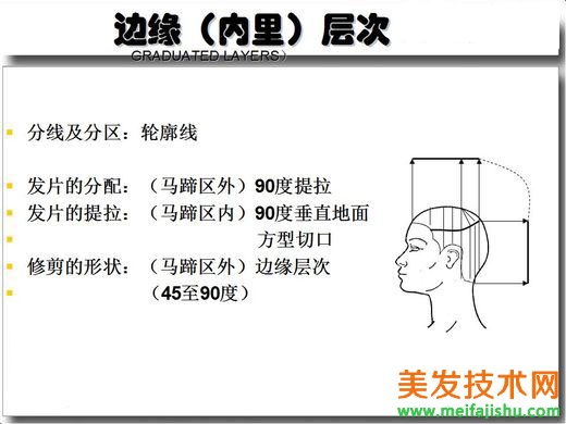 经典齐装，经典边缘层次，边缘（内里）层次修剪结构图